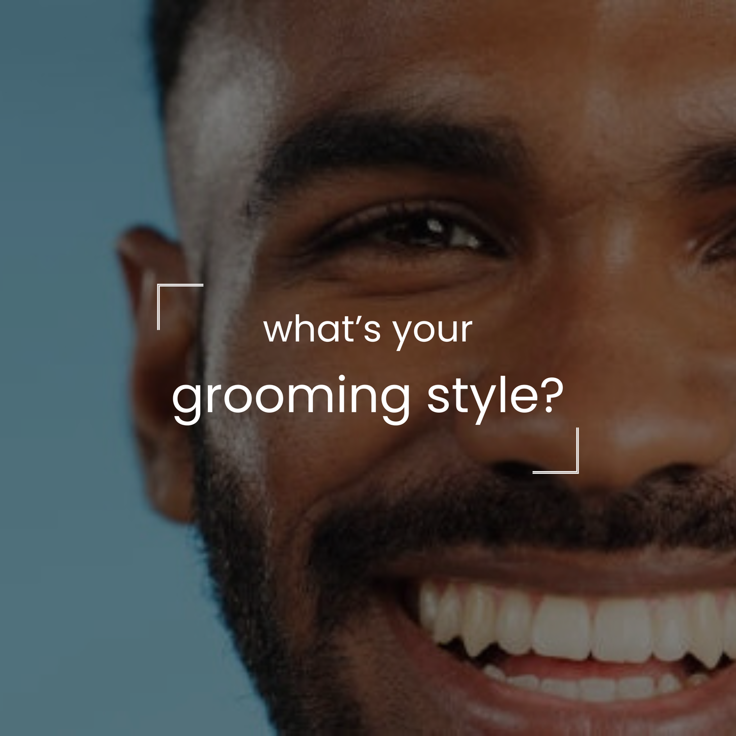 The Grooming Box